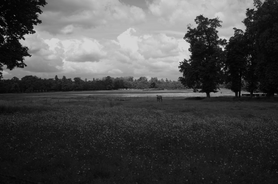 R0000713, May 2026