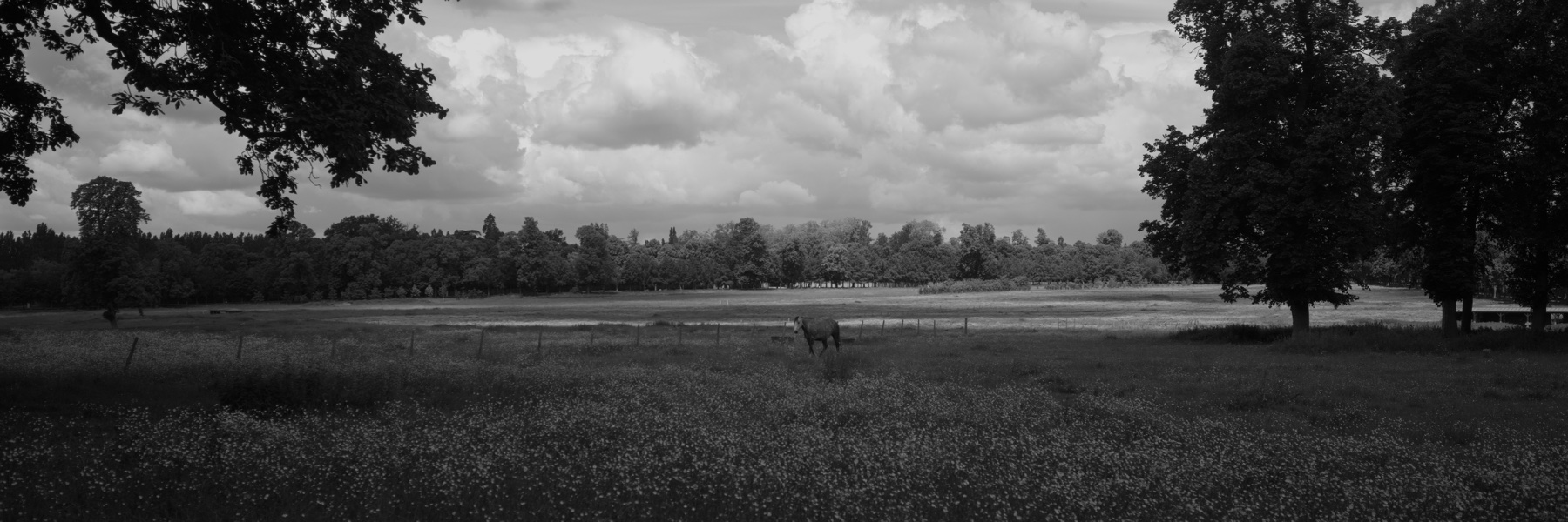 R0000715, May 2026